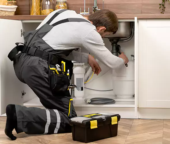 Certified Plumbers for Insinkerator Installation in Irving